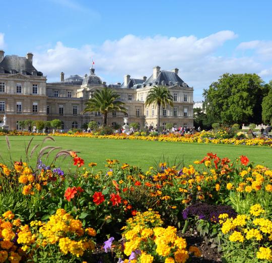 Luxembourg garden