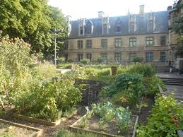 Jardin médiéval de Clunny